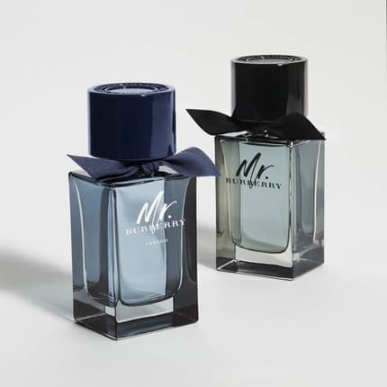 Burberry Mr Burberry Eau de Parfum Homme 50 ml