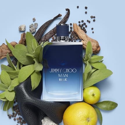 Jimmy Choo Man Blue Eau de Toilette (EDT) Homme 100ml