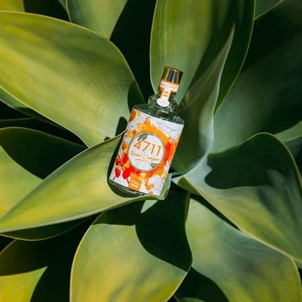 4711 Remix Orange Cologne Unisex Eau de Cologne (EDC) Mixte 100ml