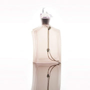 Stella Cadente Miss Me Discrete Eau De Toilette Spray 1.7 oz, 1oz équivaut à 30ml Stella Cadente
