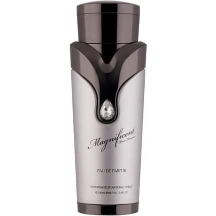 Armaf Magnificent Pour Homme Eau de Parfum 100 ml