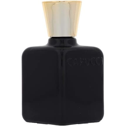 Roberto Capucci Black Soul Man After Shave Lotion Après-Rasage 100 ml