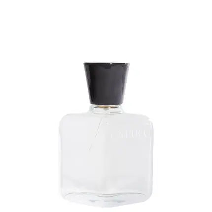 ROBERTO CAPUCCI Eau de Toilette for Men 100ml Spray Fl.Oz 3.4