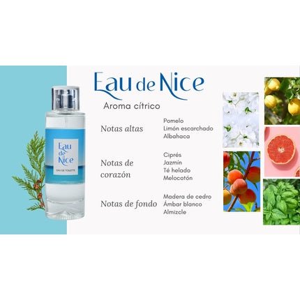 Akileine Asepta Eau De Nice Fragrance Inspired par the Mediterranean and the French Eau de Toilette (EDT) Mixte - Maison des fragrances