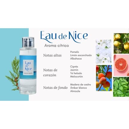 Akileine Asepta Eau De Nice Fragrance Inspired par the Mediterranean and the French Eau de Toilette (EDT) Mixte - Maison des fragrances