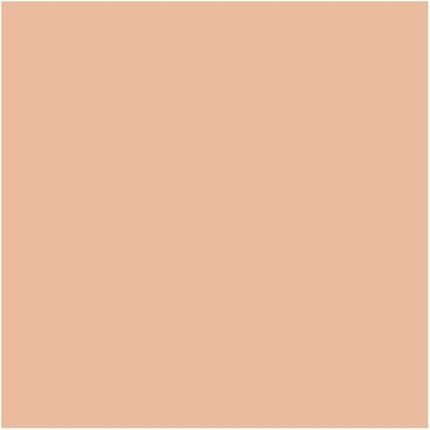 MAC Studio Fix Powder Plus Foundation 15g Shade C4.5 Beige - Maison des fragrances