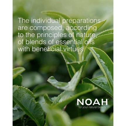 Noah 5.5 Illuminating Spray 125ml - Maison des fragrances