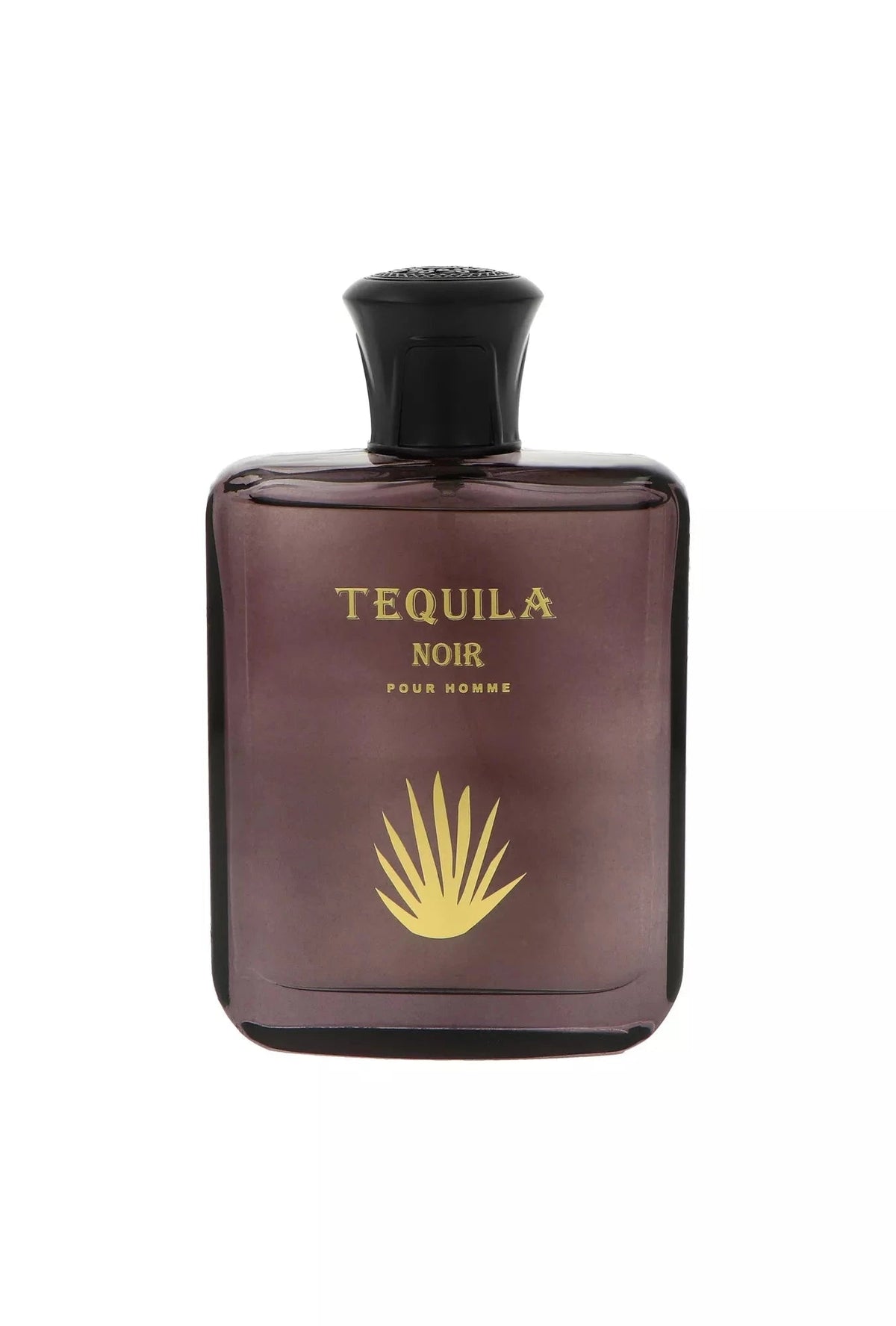 Tequila Noir Eau de Parfum (EDP) Homme 98ml - Maison des fragrances