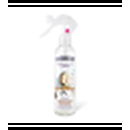 The Fruit Company Liquid Deodorizing Déodorant (Déo) Mixte 250ml - Maison des fragrances