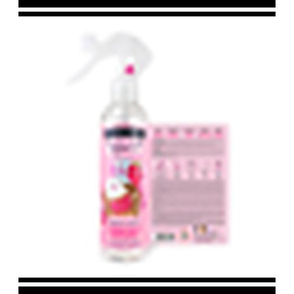 The Fruit Company Liquid Deodorizing Déodorant (Déo) Mixte 250ml - Maison des fragrances
