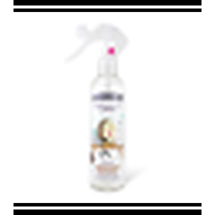 The Fruit Company Liquid Deodorizing Déodorant (Déo) Mixte 250ml - Maison des fragrances