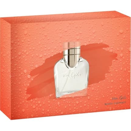 Van Gils Gift Set Basic Instint & Deo Coffret (Coffret) Mixte - Maison des fragrances